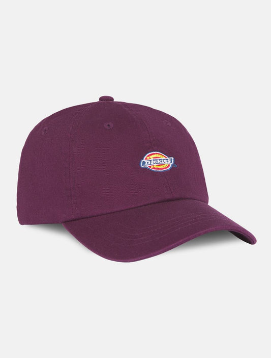 GORRA DICKIES HARDWICK