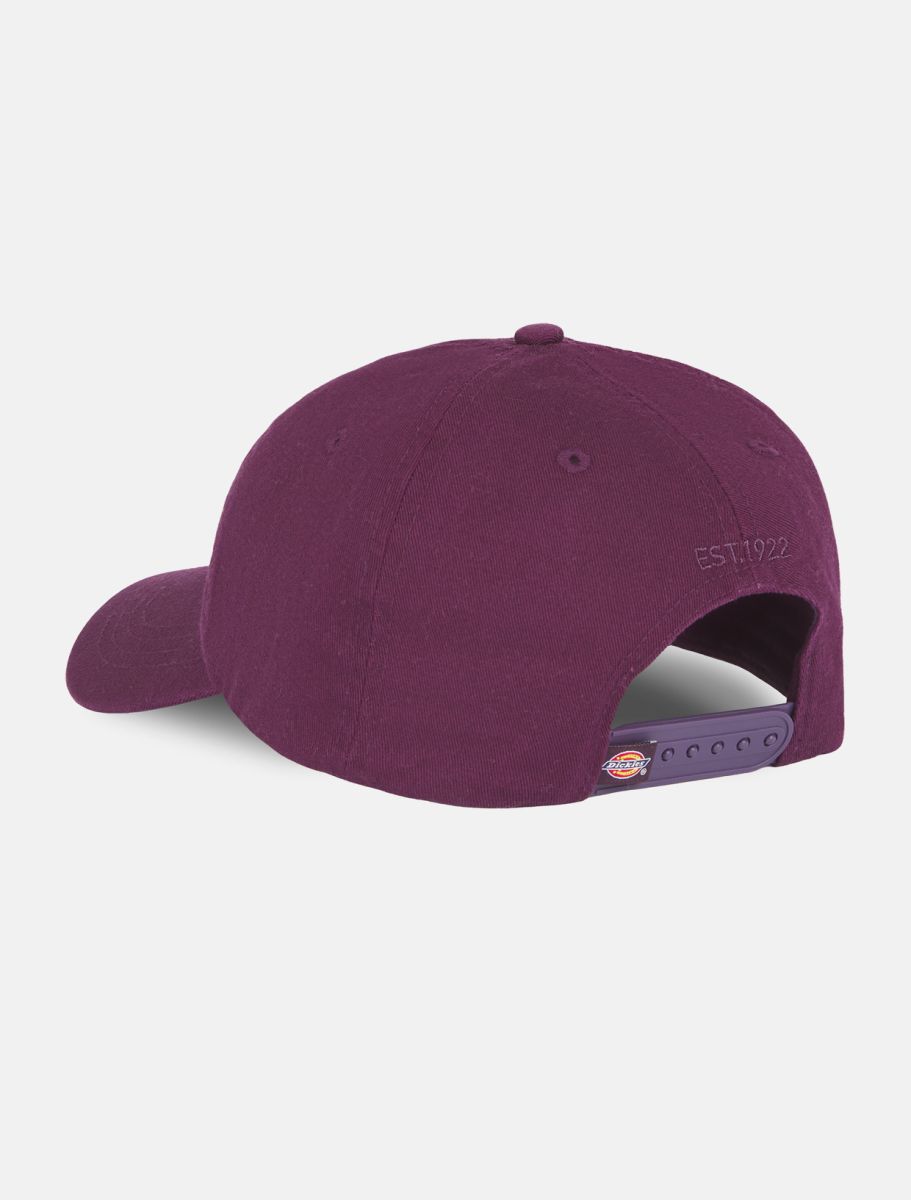 GORRA DICKIES HARDWICK