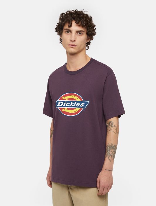 Camiseta DICKIES ICON LOGO