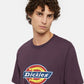 Camiseta DICKIES ICON LOGO