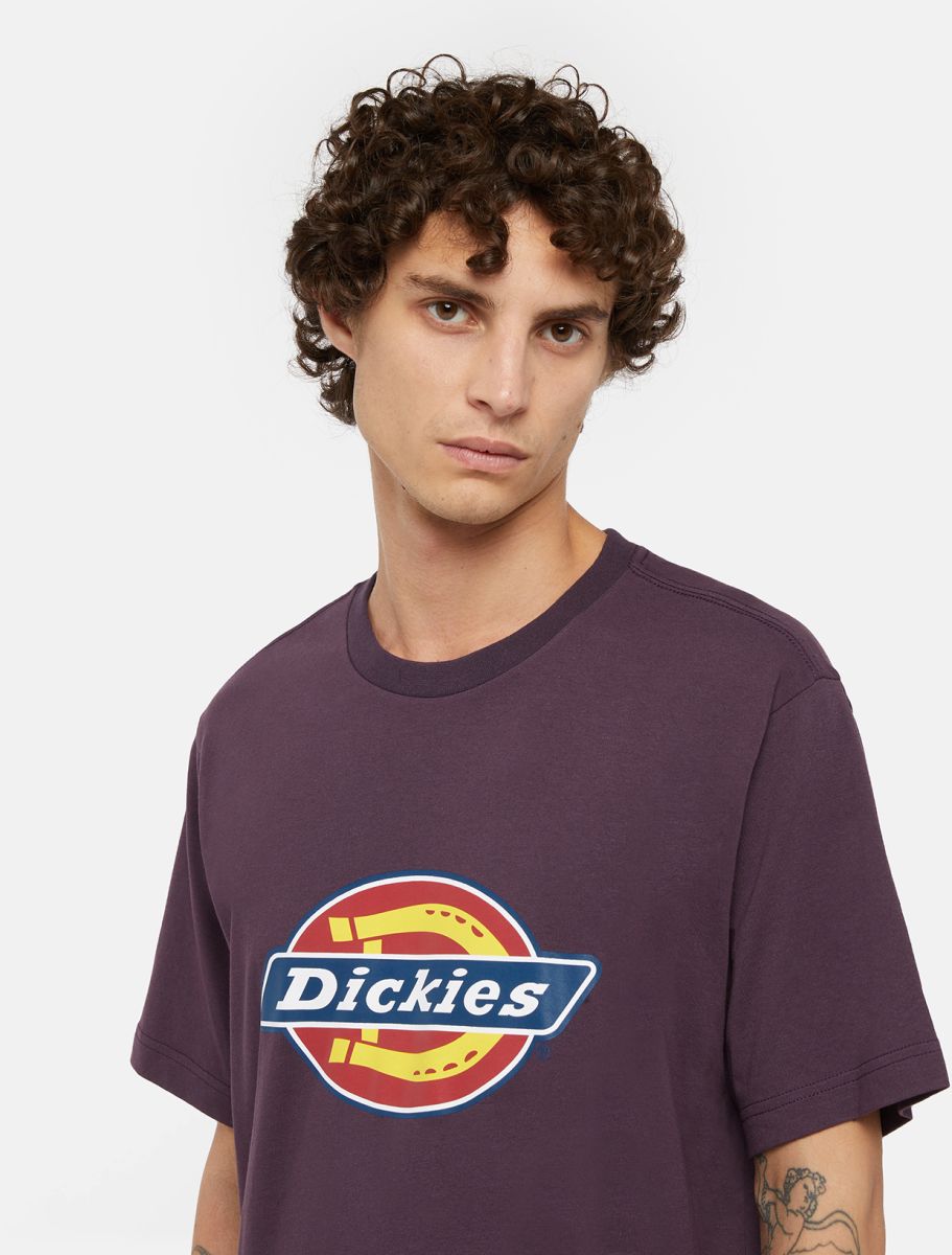 Camiseta DICKIES ICON LOGO