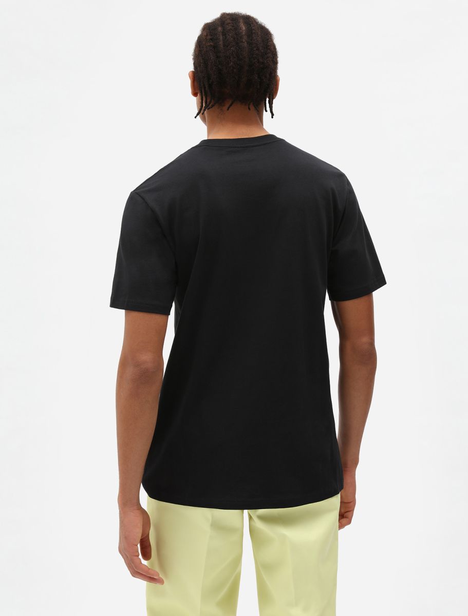 Camiseta DICKIES SS MAPLETON TEE