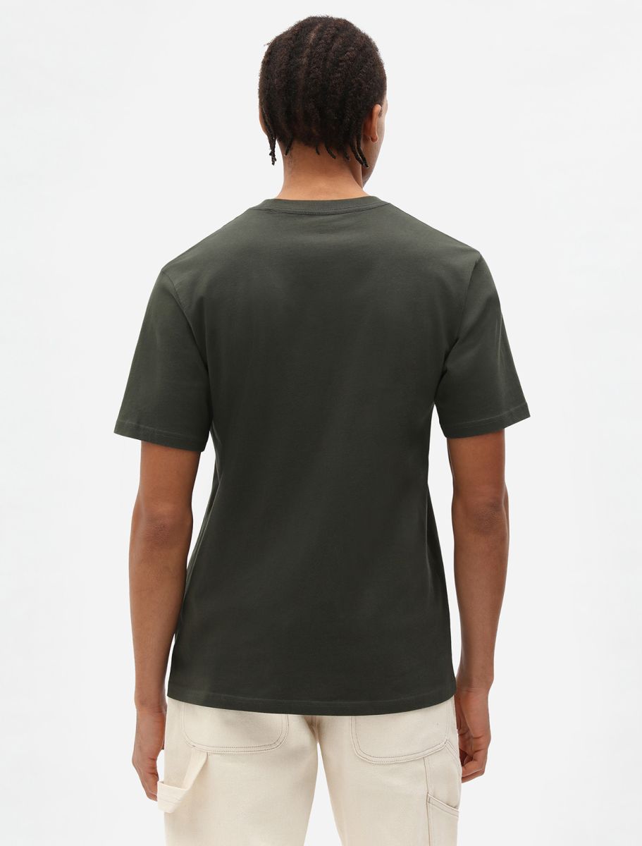 Camiseta DICKIES SS MAPLETON TEE