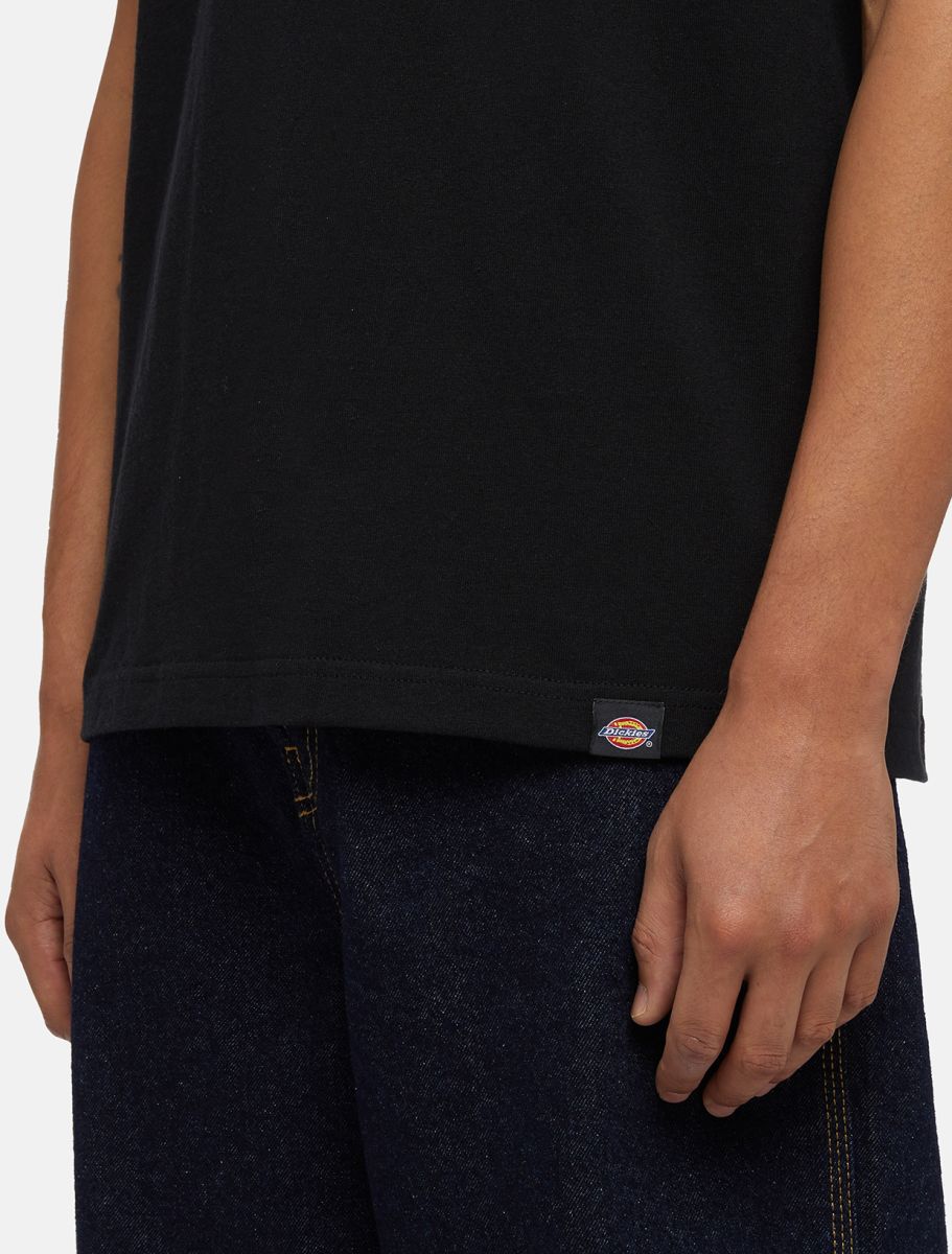 Camiseta DICKIES PHANTER