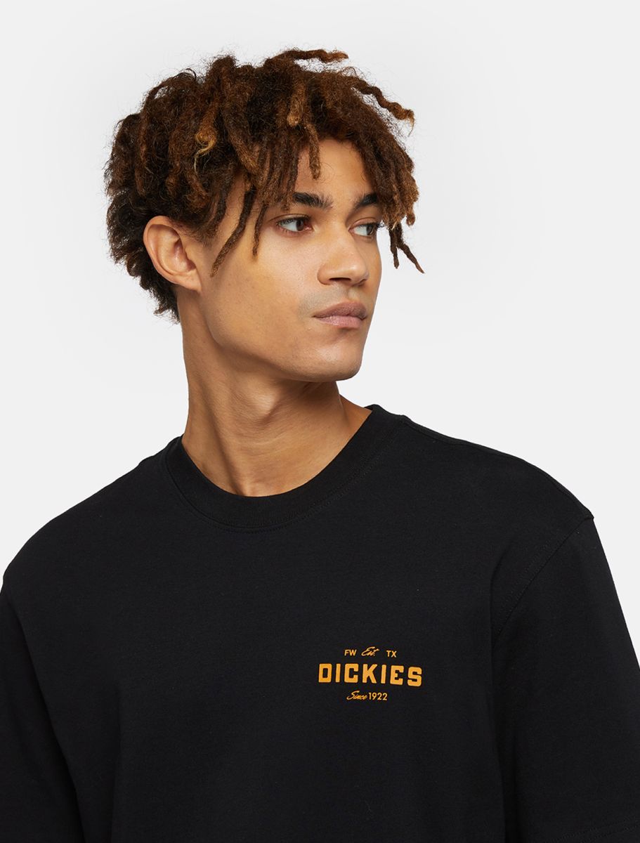 Camiseta DICKIES EMBLEME TEE SS